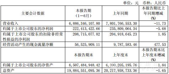 東風(fēng)股份會計數(shù)據(jù).jpg