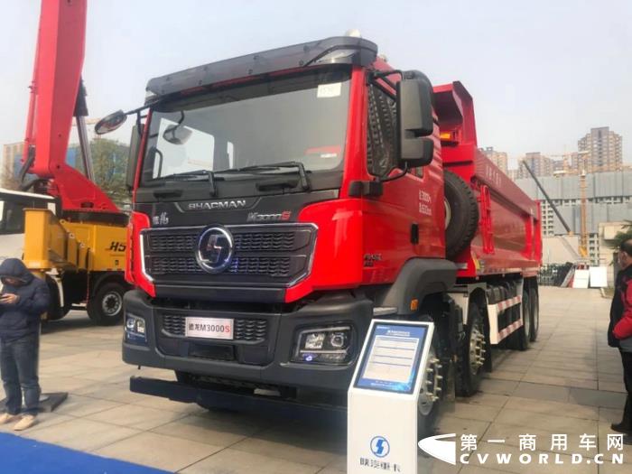 陜汽德龍M3000S 8×4 公路標準版自卸車.jpg