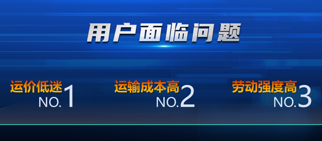 2021年下半年開始，物流市場進入低谷期，用戶面臨油價高、運價低、收益大幅下滑等挑戰。同時單駕比例提升，更多中小車隊老板選擇自己開車，勞動強度大幅提高。面對激烈的市場競爭環境，作為中國商用車品牌的領軍者，一汽解放始終堅持以自主創新引領行業技術發展，為用戶提供最優的物流解決方案。