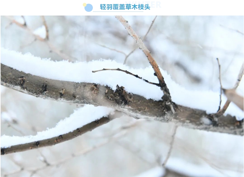 瑞雪乘風(fēng)至 北奔廠區(qū)煥新顏