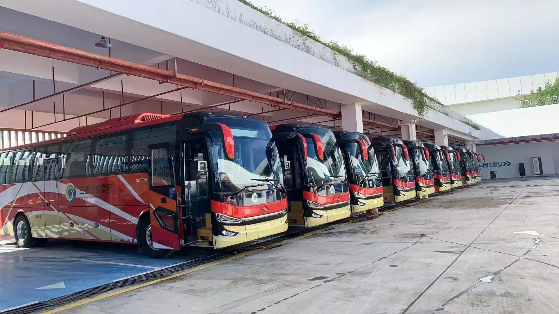 【第一商用車網 原創】繼“金九銀十”后，11月份，國內新能源客車銷量再次迎來“雙增”。