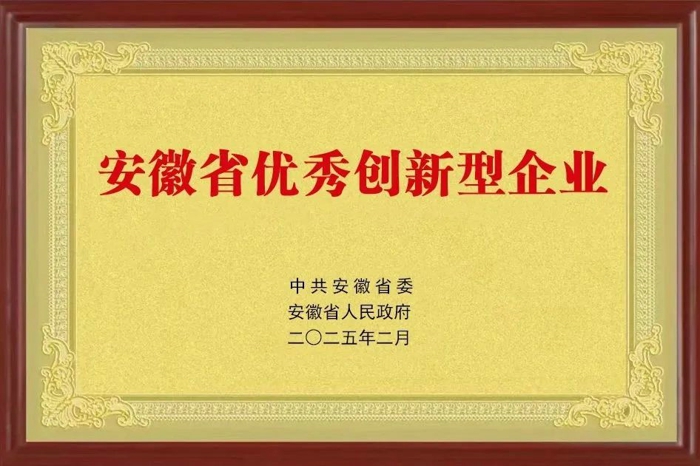 2月5日，春節后上班第一天，安徽省委、省政府在合肥召開向“新”而行，以“質”致遠——科技創新引領新質生產力發展大會