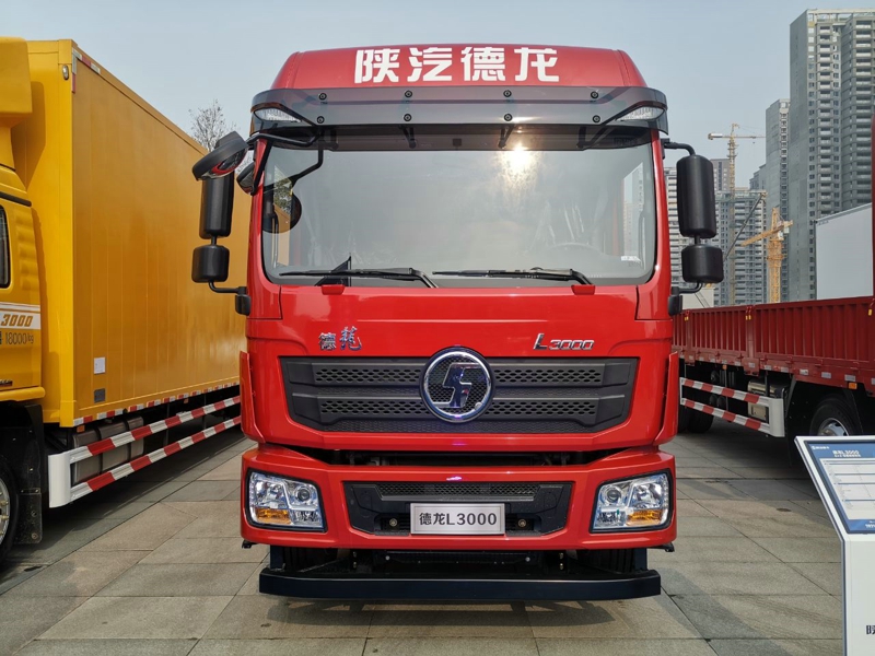 德龍L3000 4×2綠通版載貨車